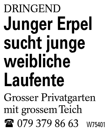 Junger Erpel sucht junge weibliche Laufente