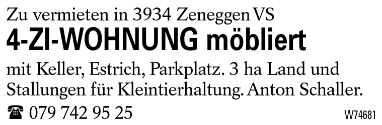 4-ZI-WOHNUNG möbliert