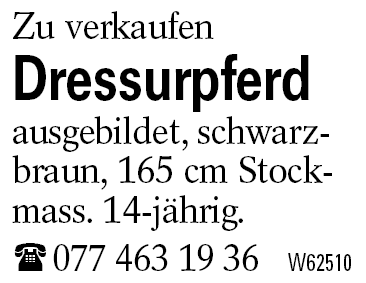 Dressurpferd