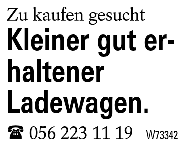 Kleiner gut erhaltener Ladewagen.