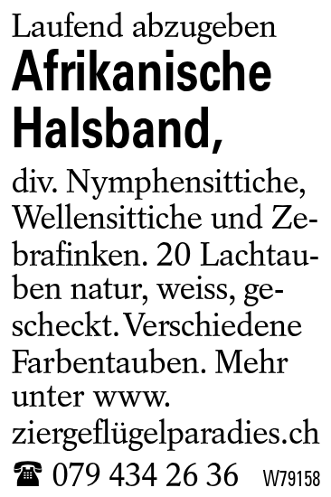 Afrikanische Halsband,