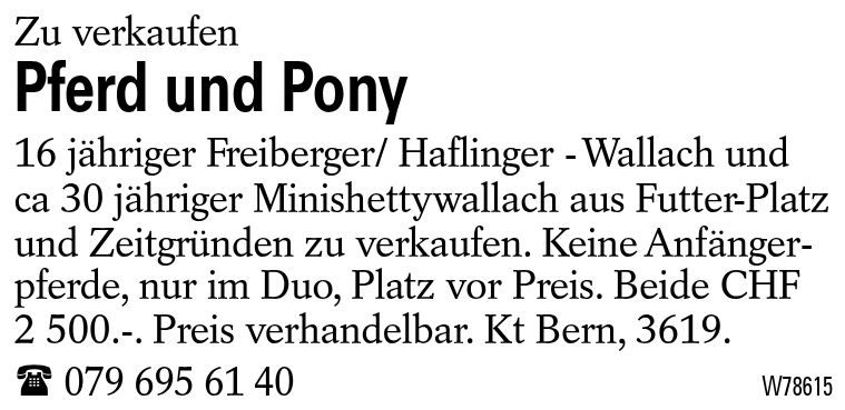 Pferd und Pony