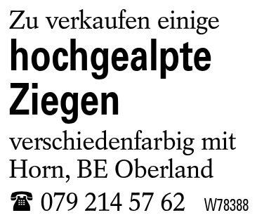 hochgealpte Ziegen