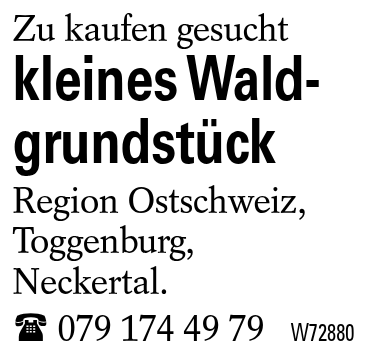 kleines Wald-grundstück