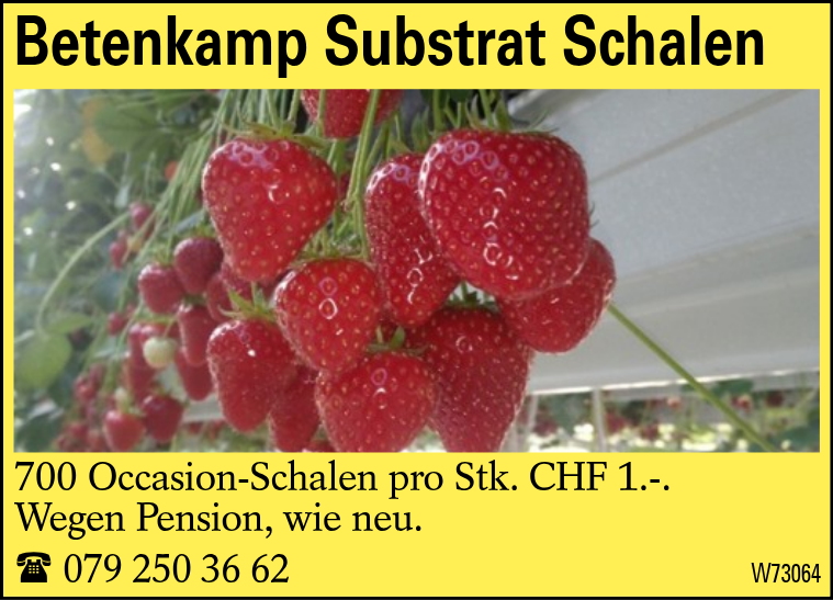 Betenkamp  Substrat Schalen