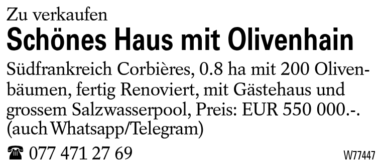 Schönes Haus mit Olivenhain
