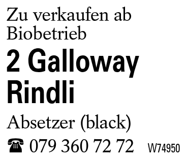 2 Galloway Rindli
