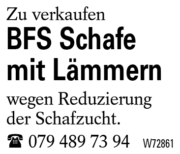 BFS Schafe mit Lämmern