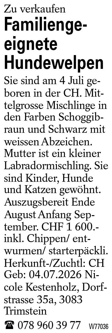Familiengeeignete Hundewelpen