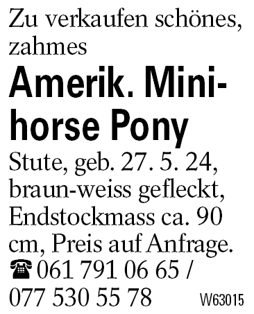 Amerik. Minihorse Pony