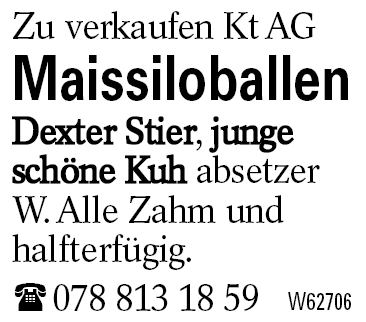 Maissiloballen