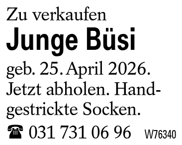 Junge Büsi