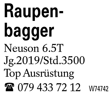 Raupen-bagger