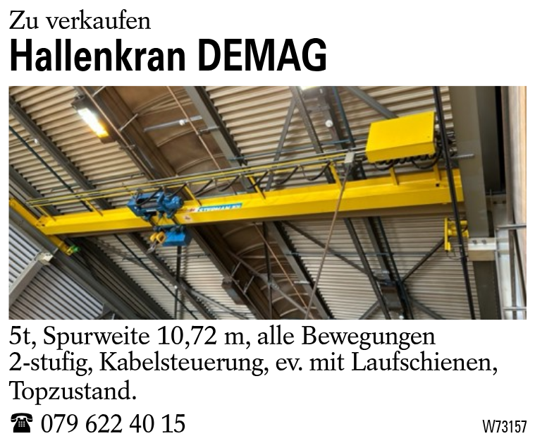 Hallenkran DEMAG