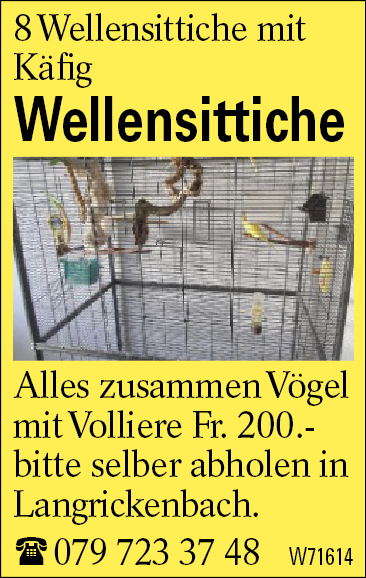 Wellensittiche