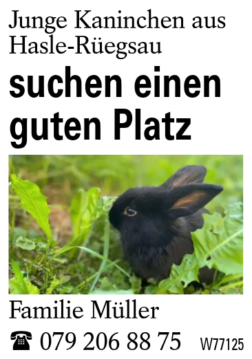 suchen einen guten Platz