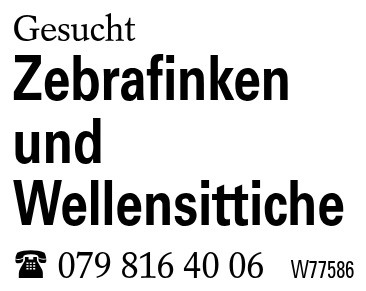 Zebrafinken und Wellensittiche