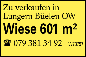 Wiese 601 m^2