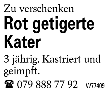 Rot getigerte Kater