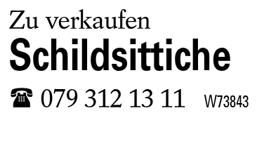 Schildsittiche