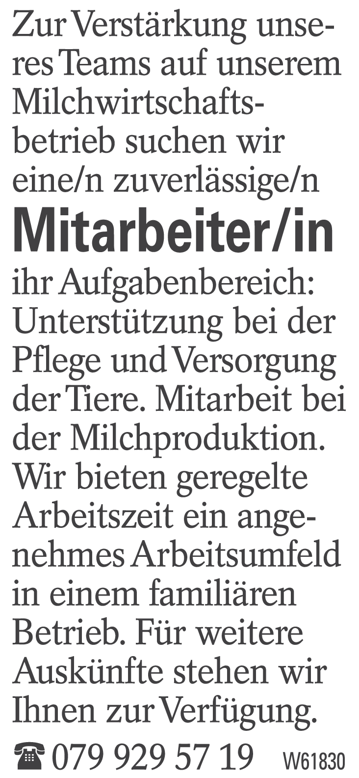 Mitarbeiter