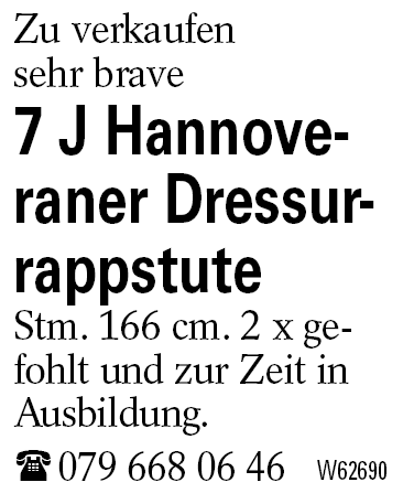 7 J Hannoveraner Dressurrappstute