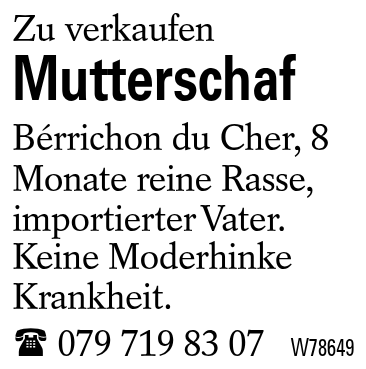 Mutterschaf