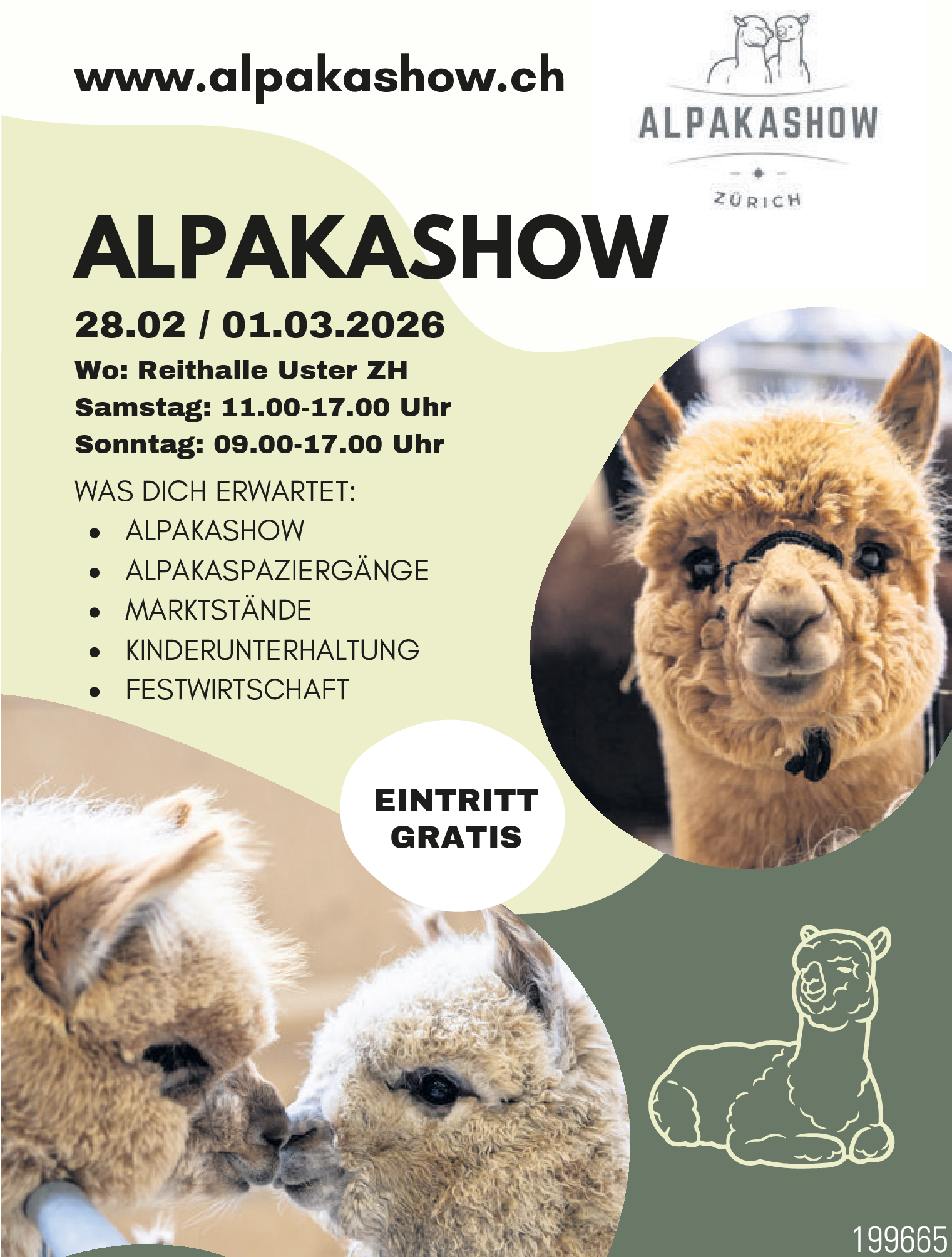 Alpakashow