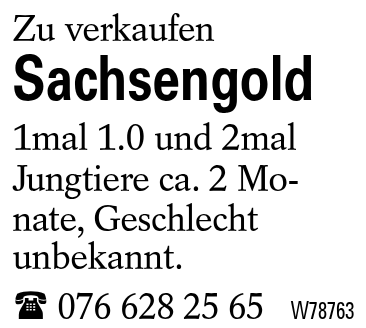 Sachsengold