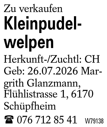 Kleinpudelwelpen