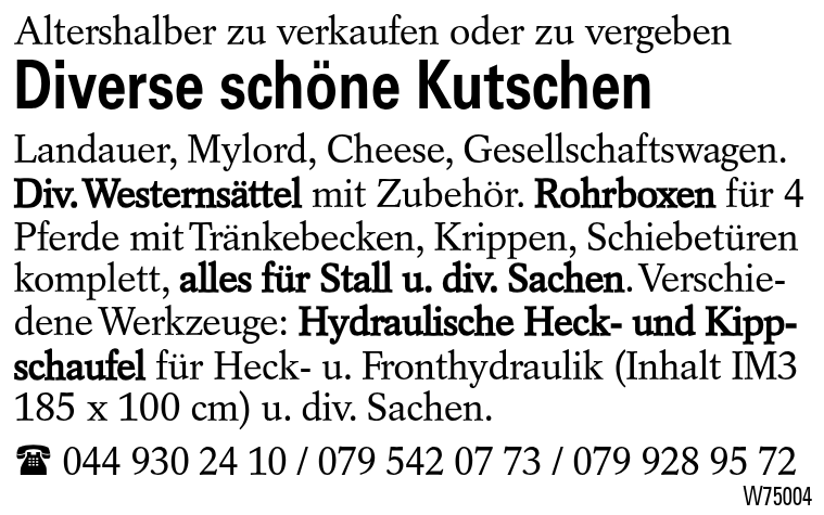 Diverse schöne Kutschen