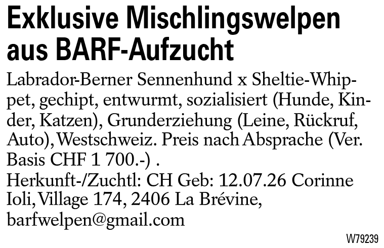 Exklusive Mischlingswelpen aus BARF-Aufzucht
