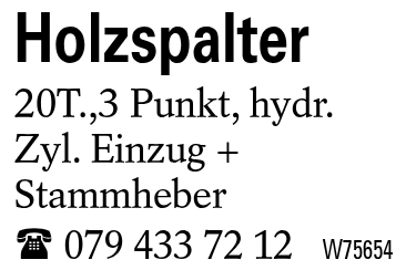 Holzspalter