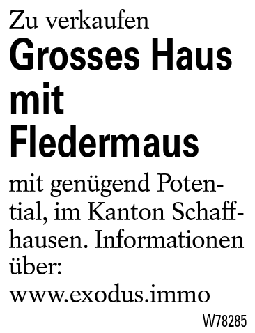 Grosses Haus mit Fledermaus