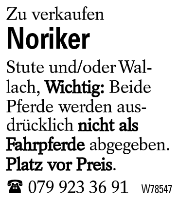 Noriker