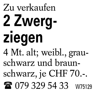 2 Zwerg-ziegen