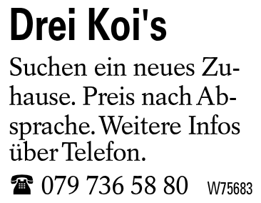 Drei Koi's