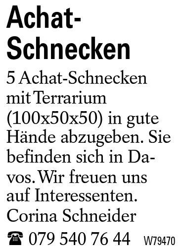 Achat-Schnecken