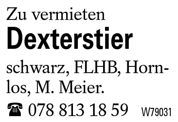 Dexterstier