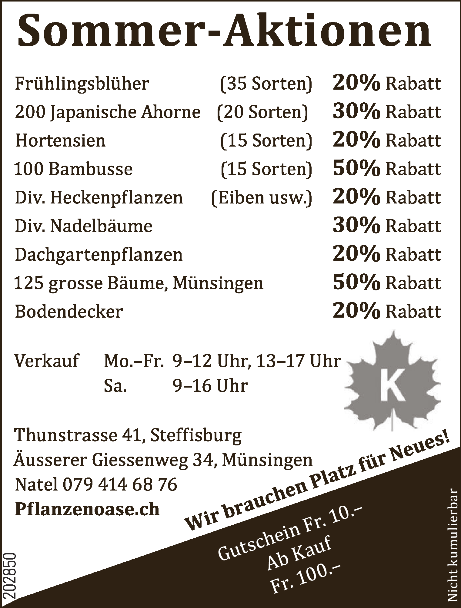 Sommer-Aktionen