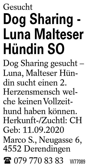 Dog Sharing - Luna Malteser Hündin SO