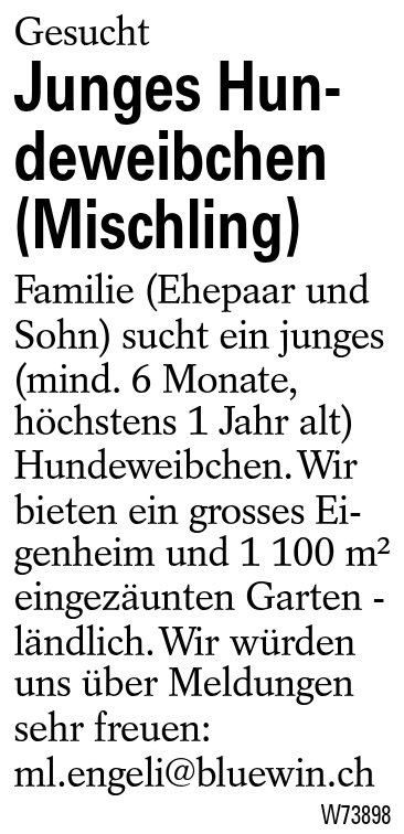 Junges Hundeweibchen (Mischling)