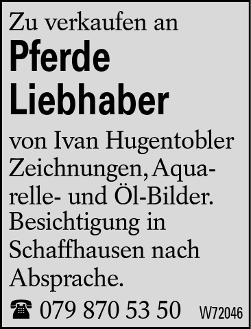 Pferde Liebhaber
