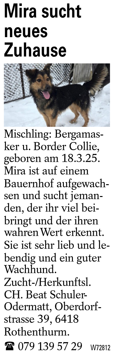 Mira sucht neues Zuhause