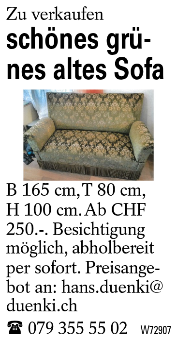 schönes grünes altes Sofa