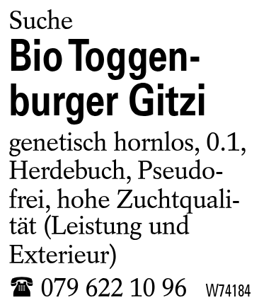 Bio Toggenburger Gitzi