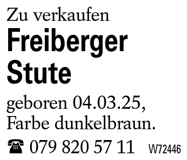 Freiberger Stute