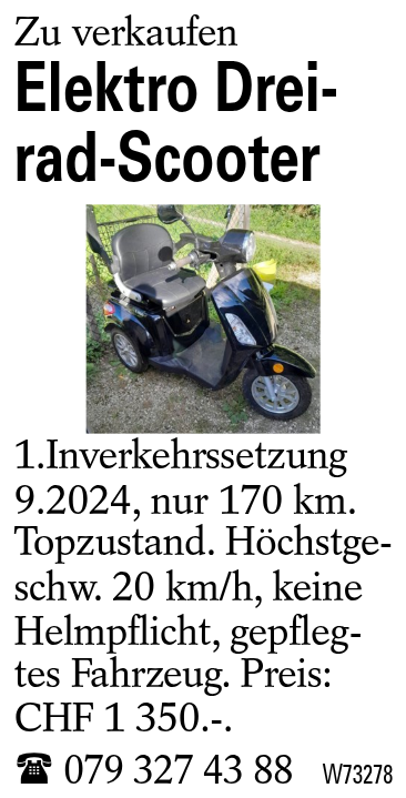 Elektro Dreirad-Scooter