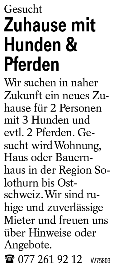 Zuhause mit Hunden & Pferden