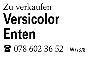 Versicolor Enten